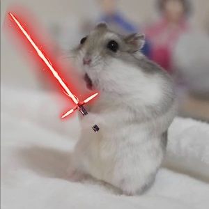 Meet your Posher, Daniela